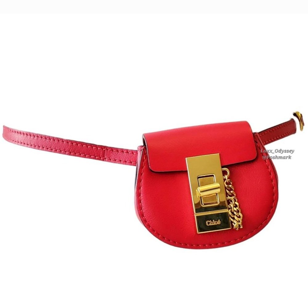 Chloe Leather Mini Bag: Belt Bag/ Cross-Body Bag